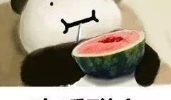 太太圈吃瓜头像,揭秘网红圈层文化新趋势