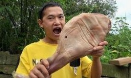 刘大瓜吃鸡,一场美食与娱乐的盛宴