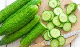 吃瓜vs下饭,揭秘美食背后的文化内涵