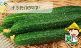 瓜哥吃瓜商家的套路,揭秘那些隐藏在甜蜜背后的陷阱