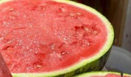 天凉吃瓜好吗,天凉吃瓜的养生之道”