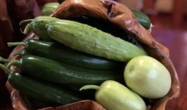 网红瓜在哪吃,揭秘最佳品尝地