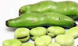 土瓜可以隔夜吃吗怎么吃,保存与美味兼顾的烹饪秘诀