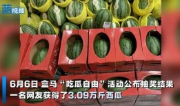 马吃瓜好吗,探寻马儿与瓜果的奇妙互动