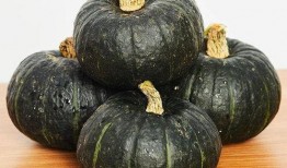 贝贝瓜怎么吃养胃,轻松掌握美味养胃之道