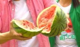 剪头记录吃瓜,剪头记录背后的吃瓜真相