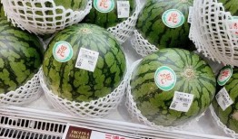 吃瓜粒上厕所,吃瓜粒引发的厕所奇遇记