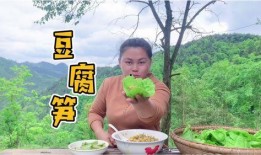 野餐兔吃瓜群,欢乐互动，共享夏日清凉时光