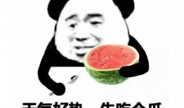 吃瓜get表情包,趣味横生的网络文化现象