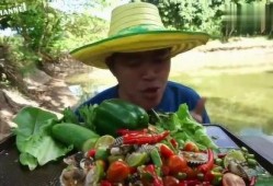 破草帽哥吃瓜,揭秘娱乐圈幕后真相