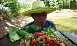 破草帽哥吃瓜,揭秘娱乐圈幕后真相