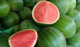 吃瓜怎么分享,教你轻松吃瓜、畅快分享