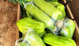 小区外边吃瓜贩,揭秘小区外瓜贩的美食传奇