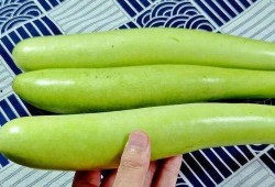 9月14吃瓜,娱乐圈瓜田里的那些事儿