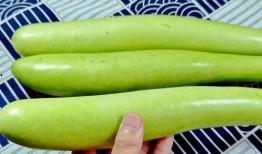 9月14吃瓜,娱乐圈瓜田里的那些事儿