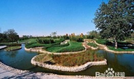 朝阳公园线下吃瓜,趣味横生的夏日街头盛宴