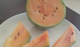 吃瓜些一吃嘛,一吃嘛，尽享夏日清凉