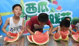 趣味吃瓜比赛,趣味吃瓜大赛欢乐无限