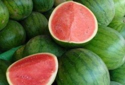 韩国回基吃瓜,揭秘幕后故事与热点事件