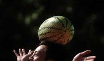 广西吃瓜群众名称