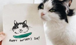 小猫吃瓜头像,小猫吃瓜头像萌态百出