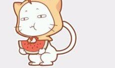 拿瓜子吃瓜表情包,拿瓜子吃瓜表情包带你领略欢乐时光