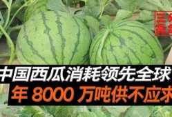 吃瓜中国爆料,热点事件背后的真相与反思