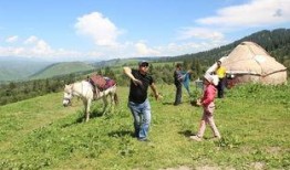 乌鲁木齐吃瓜群伊犁,伊犁美食风潮席卷社交圈