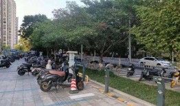 吃瓜群众吃瓜磐安宝龙广场,吃瓜群众的热闹聚集地