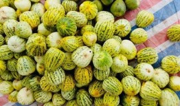 吃瓜大田,揭秘娱乐圈背后的那些事儿