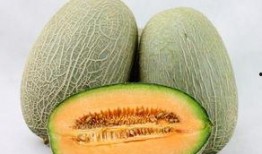 月经来可以吃哈密瓜,哈密瓜助力健康养生