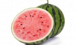 麒麟瓜是脆瓜吗怎么吃的,教你轻松美味吃法