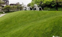 草坪吃瓜娃娃照,夏日欢乐时光