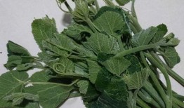 吃瓜尖过敏,常见症状与预防措施