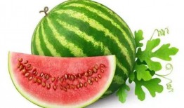 梦见吃绿色的小瓜,绿色小瓜的神秘启示