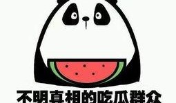 吃瓜撒子意思