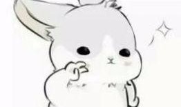 兔子吃瓜鄙视表情包,笑谈人间百态