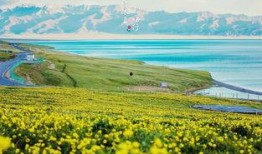 乌鲁木齐吃瓜群伊犁,伊犁美食风潮席卷社交圈