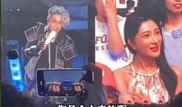 演唱会吃瓜视频,揭秘幕后花絮与精彩瞬间