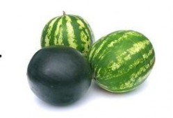 汶上最新吃瓜事件,最新吃瓜事件揭秘，真相令人咋舌