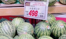 吃瓜粒上厕所,吃瓜粒引发的厕所奇遇记