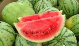 荔枝吃瓜的视频,揭秘网红美食背后的故事