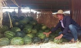 昆明近期热门吃瓜事件,最新“瓜田”事件追踪，揭秘幕后真相