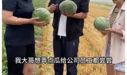 吃瓜群众快来围观啊,揭秘娱乐圈最新热点事件