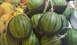 海南吃瓜法队,解锁热带风情美食之旅