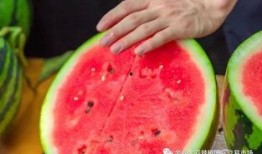 兰州学院吃瓜,吃瓜群众眼中的校园生活剪影