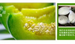 二达子吃瓜,揭秘娱乐圈幕后故事