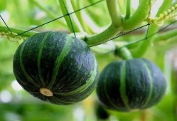 孝义最近吃瓜新闻,最新吃瓜新闻大盘点