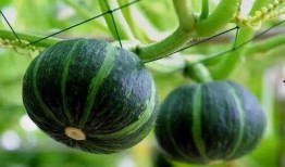 孝义最近吃瓜新闻,最新吃瓜新闻大盘点