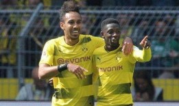 阿尔贝莱灵吃瓜群众,吃瓜群众眼中的足球传奇